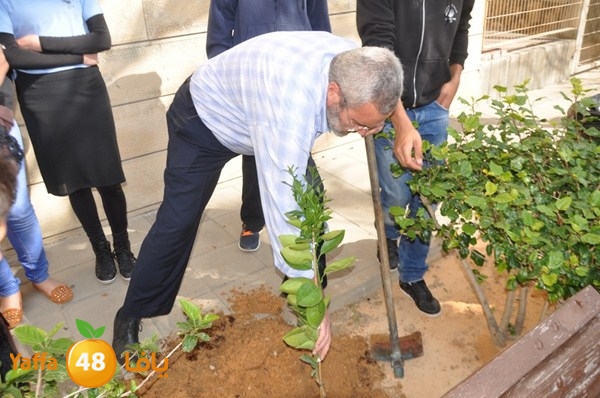 trees shamela 0321 (32).JPG